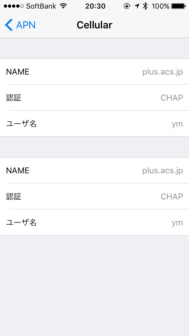 SIM単体契約iPhone用APNの中身