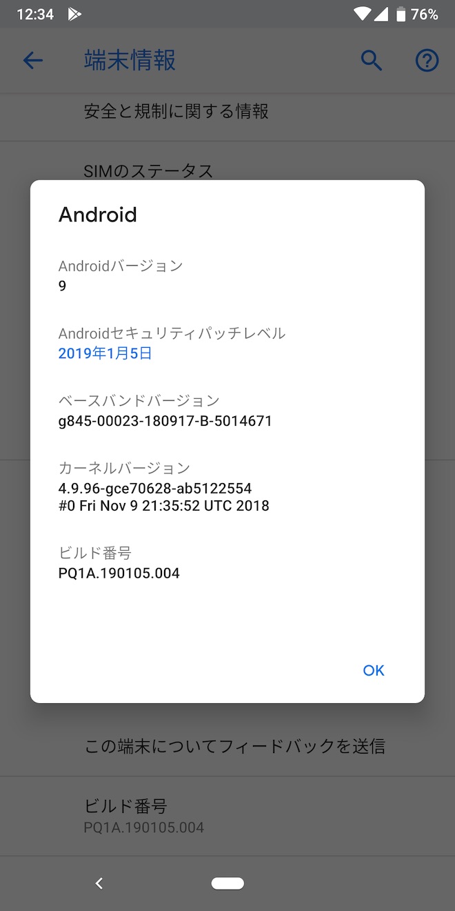 アップデート後の端末情報(Pixel 3)