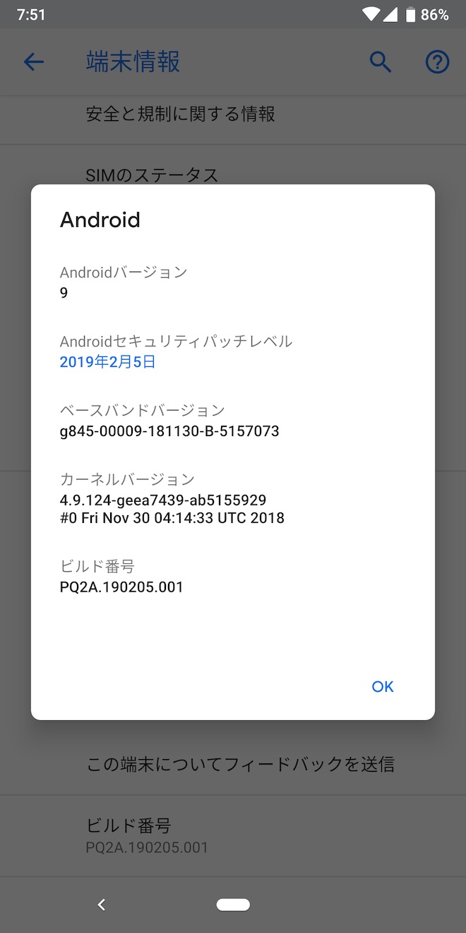 アップデート前のPixel 3の端末情報
