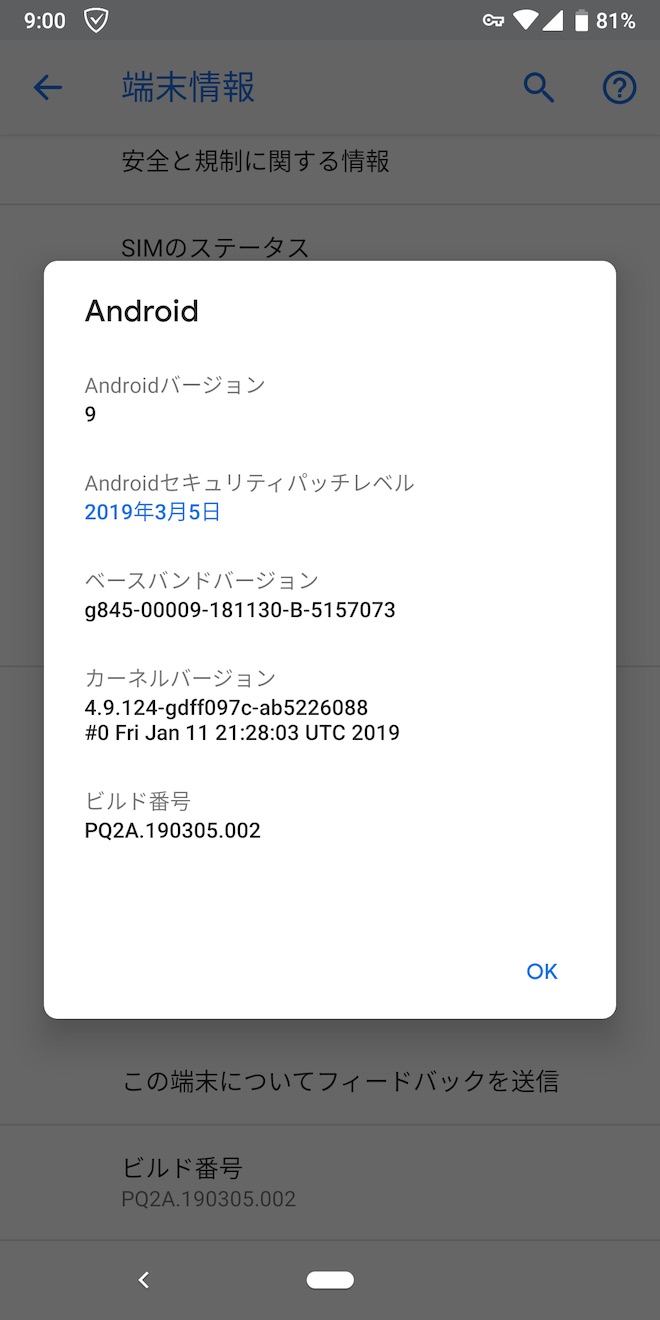 アップデート前のPixel 3の端末情報